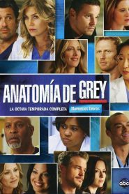 Anatomía según Grey: Temporada 8