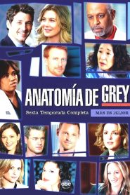 Anatomía según Grey: Temporada 6