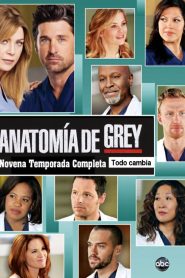 Anatomía según Grey: Temporada 9